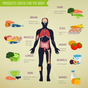 Healthy food for human body. Healthy eating infographic. Food and drink. Vector illustration