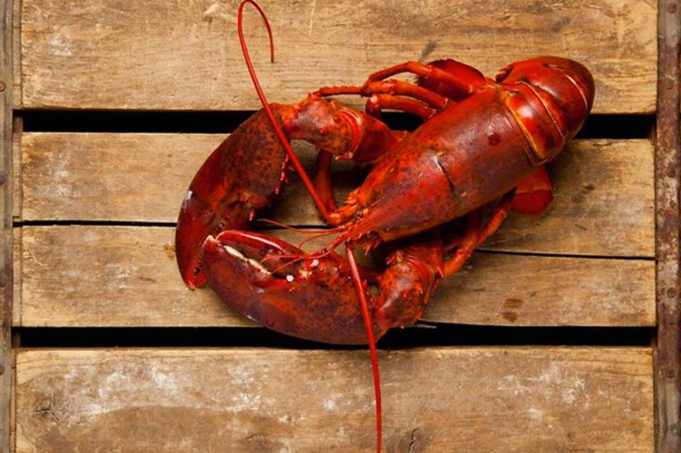 Lobsterfest - sold out