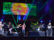 Absolutely YES – by Darcy Nybo YES