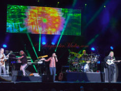 Absolutely YES – by Darcy Nybo YES