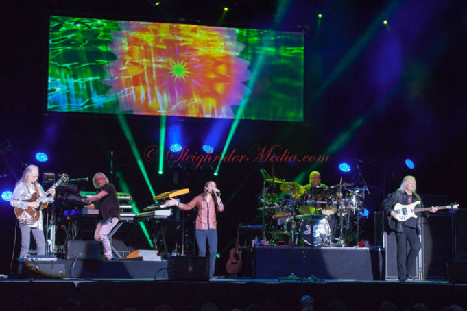 Absolutely YES – by Darcy Nybo YES