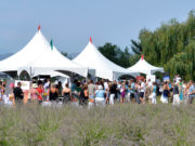 Fabulous Feast of Fields recap FOFbanner