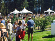 2015 Feast of Fields by Darcy Nybo Cropped_for_banner