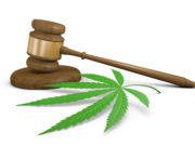 ARIZONA COURT RULINGS OVER MARIJUANA DUI LAW
