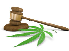 ARIZONA COURT RULINGS OVER MARIJUANA DUI LAW