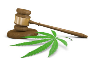 ARIZONA COURT RULINGS OVER MARIJUANA DUI LAW