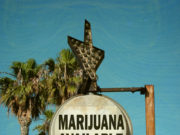 Do you have a Medical Marijuana License?