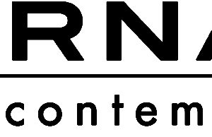 Young artists make their mark at the Alternator Centre for Contemporary Art