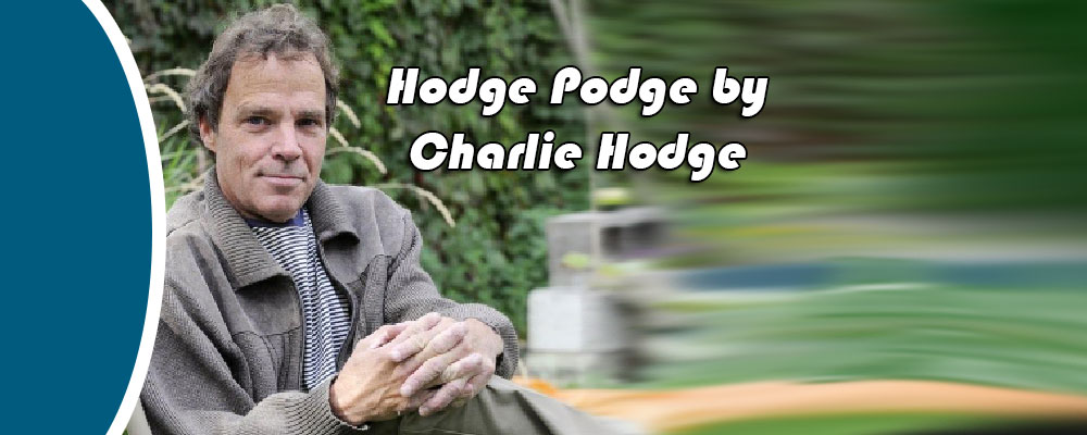 Hodge Podge by Charlie Hodge