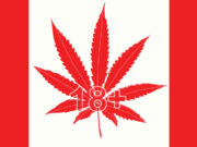 UPDATE: Canadian Age for Medical Marijuana will be 18+