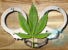 MARIJUANA LEADER ARRESTED IN SERBIA BEFORE PUBLIC HEARING Medical Marijuana and Handcuffs