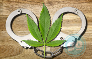 MARIJUANA LEADER ARRESTED IN SERBIA BEFORE PUBLIC HEARING Medical Marijuana and Handcuffs
