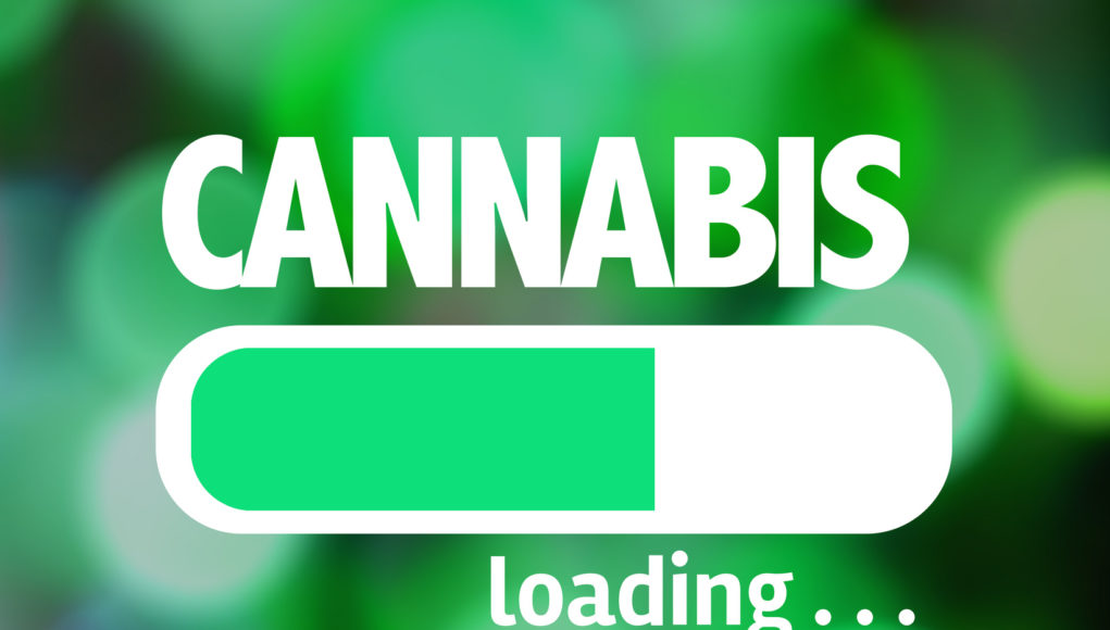 Cannabis Loading, Medical Marijuana, Legalize Marijuana,