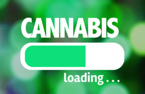 ANOTHER LOOK AT MEDICAL MARIJUANA Cannabis Loading, Medical Marijuana, Legalize Marijuana,