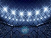 GO SPORTS – 5 MMA fighters that crossed over into pro wrestling GO SPORTS - MMA Ring to Wrestling Ring