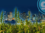 CALIFORNIA PLANS ON BUILDING A $7 BILLION LEGAL CANNABIS ECONOMY