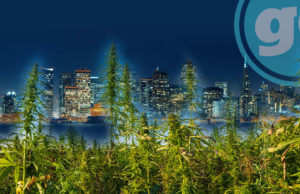 CALIFORNIA PLANS ON BUILDING A $7 BILLION LEGAL CANNABIS ECONOMY