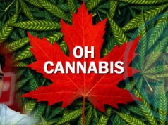 It’s announced! Trudeau government to legalize marijuana by Canada Day 2018.