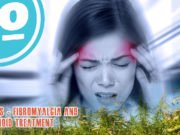 BENEFITS OF CANNABIS: MIGRAINES & FIBROMYALGIA Migraines, Fibromyalgia and Cannabinoid.
