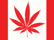 CANADA MARIJUANA LEGALIZATION UPDATE