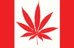 CANADA MARIJUANA LEGALIZATION UPDATE