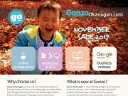 Gonzo Okanagan Online Marketing – Novemeber Promotion