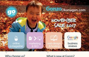 Gonzo Okanagan Online Marketing – Novemeber Promotion