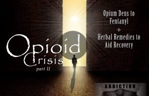 The Golem Affect – The Science of Addiction and What to Do About It!