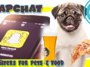 TECH: Snapchat started recognizing food, pets & more with filters TECH: Snapchat, Food & Pets