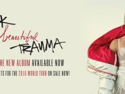 P!NK – BEAUTIFUL TRAUMA WORLD TOUR 2019