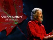 Energy efficiency and technology squeeze the carbon bubble