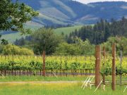 Walla Walla, More than a Tasty Onion