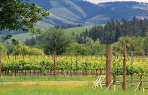 Walla Walla, More than a Tasty Onion