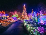 Best Christmas events in and around Vancouver