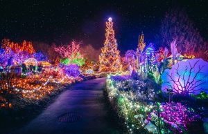 Best Christmas events in and around Vancouver