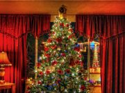 In less than three weeks, Christmas will be here. Have you started your shopping?