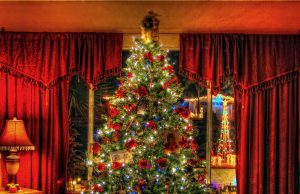 In less than three weeks, Christmas will be here. Have you started your shopping?