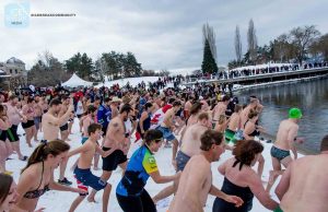 Take the Polar Bear Plunge on New Year’s Day