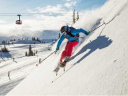 Whistler activity booking platform unveiled for adventure travellers