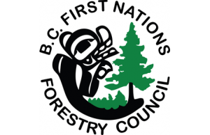 BC First Nations Forestry Council Hosts Career Fairs to Increase Indigenous Forestry Opportunities
