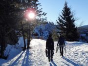 Making Memories: Kelowna in Winter