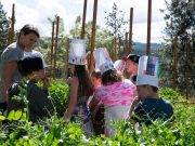 Feeding the Future: Chefs in the Classroom