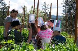 Feeding the Future: Chefs in the Classroom