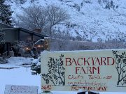 Backyard Farm: Book Fast for Slow Food