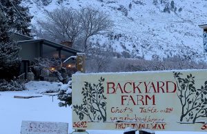 Backyard Farm: Book Fast for Slow Food