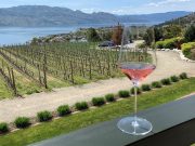 Celebrating 30 Years of Quails’ Gate