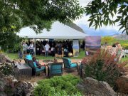 Chef Meets BC Grape: Visitors Meet Vista at See Ya Later Ranch