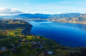 Sense of Place for Naramata Bench Vineyards Celebrated at Naramata Wine Vault