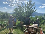 Finding Joy in a Glass at Creek & Gully Cider