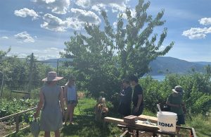 Finding Joy in a Glass at Creek & Gully Cider